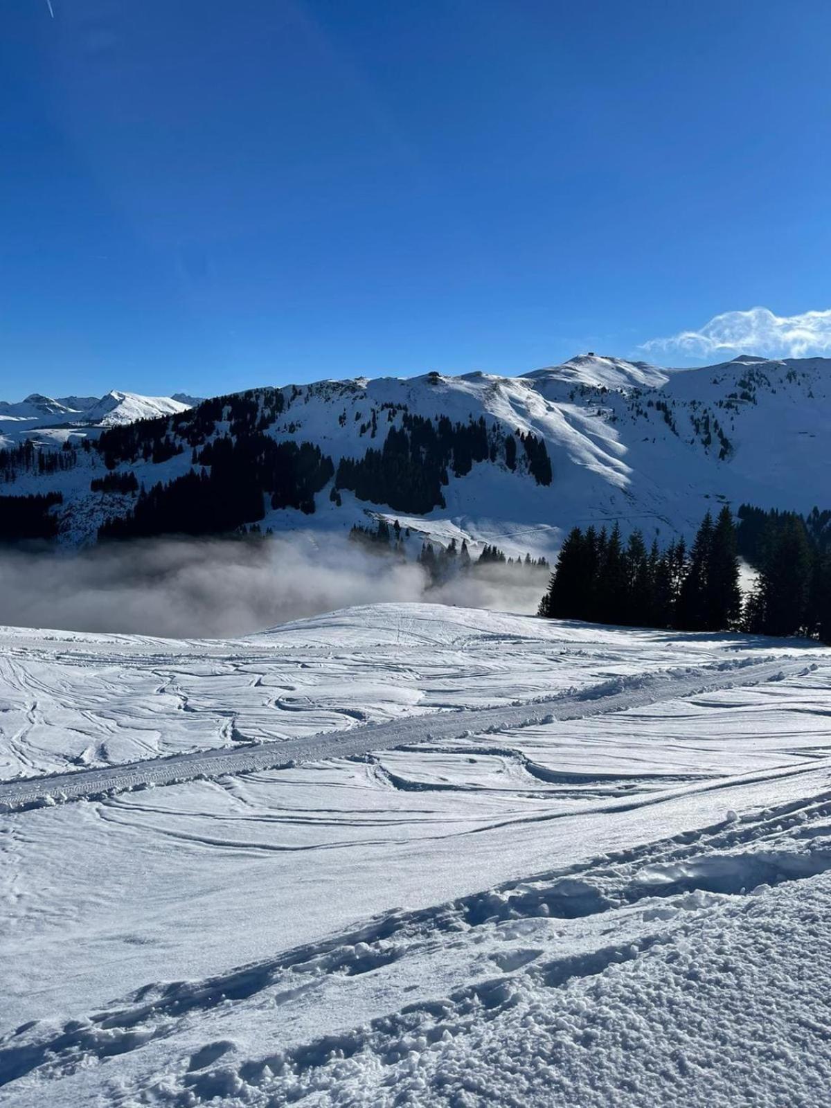 Geniessen Sie Bergblick & Sauna Im Modernen Chalet Going am Wilden Kaiser Esterno foto